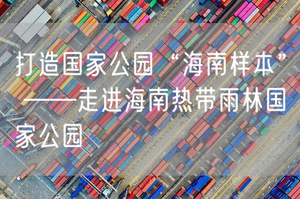 打造国家公园“海南样本” ——走进海南热带雨林国家公园