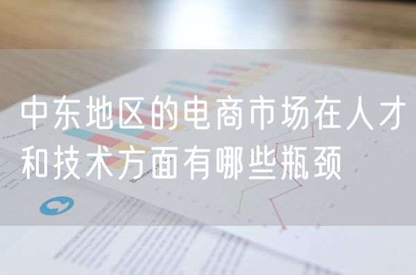 中东地区的电商市场在人才和技术方面有哪些瓶颈