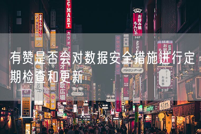 有赞是否会对数据安全措施进行定期检查和更新