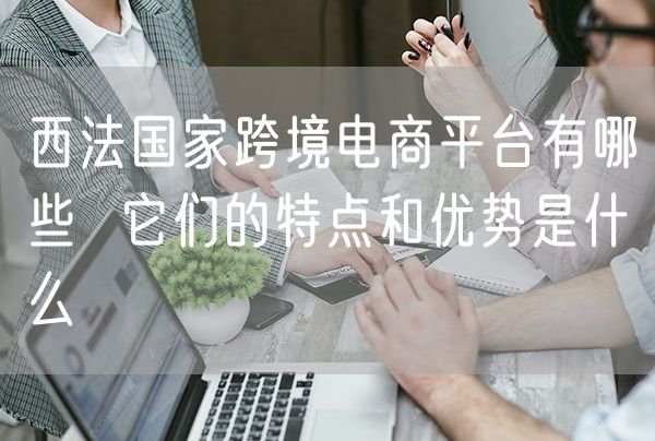 西法国家跨境电商平台有哪些  它们的特点和优势是什么