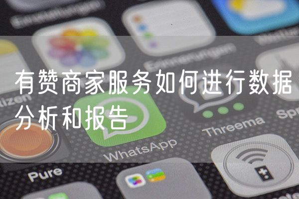 有赞商家服务如何进行数据分析和报告