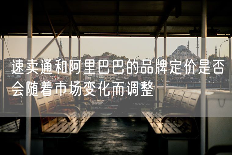 速卖通和阿里巴巴的品牌定价是否会随着市场变化而调整