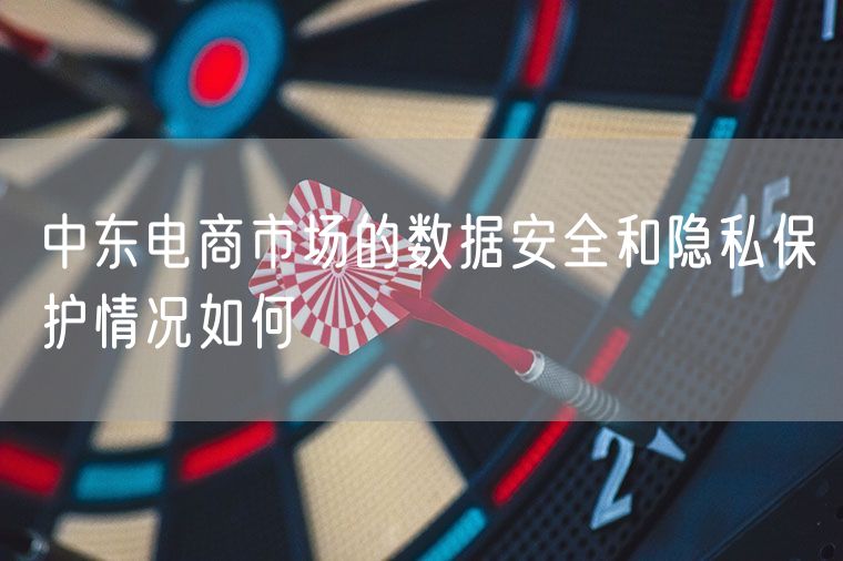 中东电商市场的数据安全和隐私保护情况如何