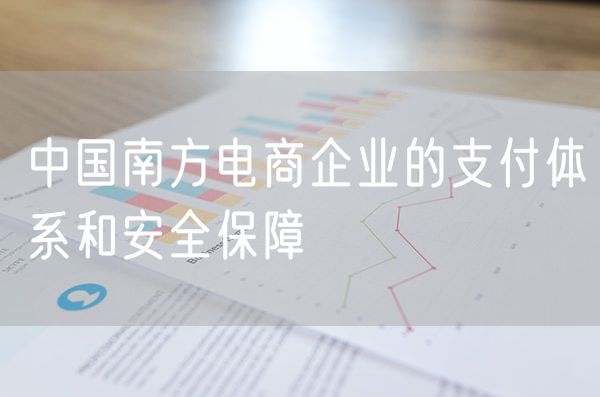 中国南方电商企业的支付体系和安全保障