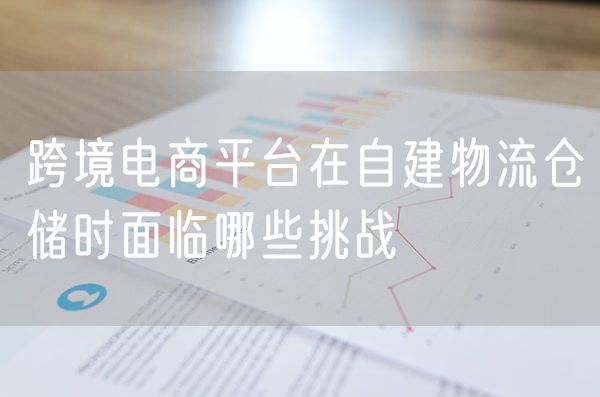 跨境电商平台在自建物流仓储时面临哪些挑战