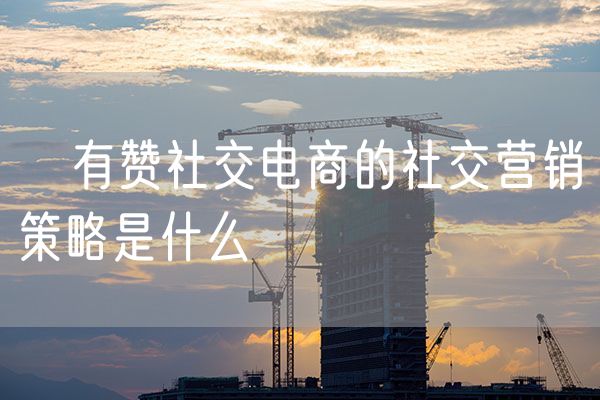 ​有赞社交电商的社交营销策略是什么
