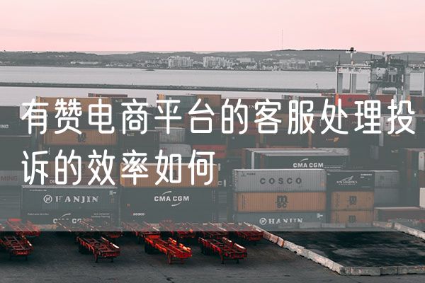 有赞电商平台的客服处理投诉的效率如何