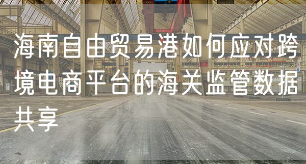 海南自由贸易港如何应对跨境电商平台的海关监管数据共享