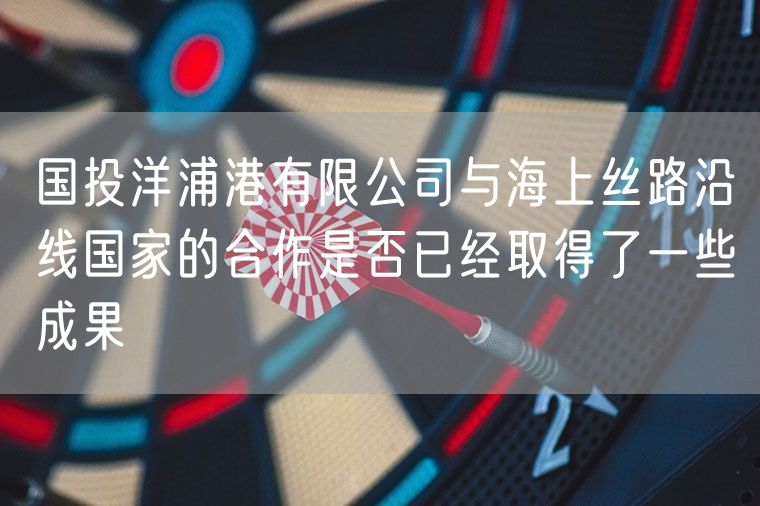 国投洋浦港有限公司与海上丝路沿线国家的合作是否已经取得了一些成果