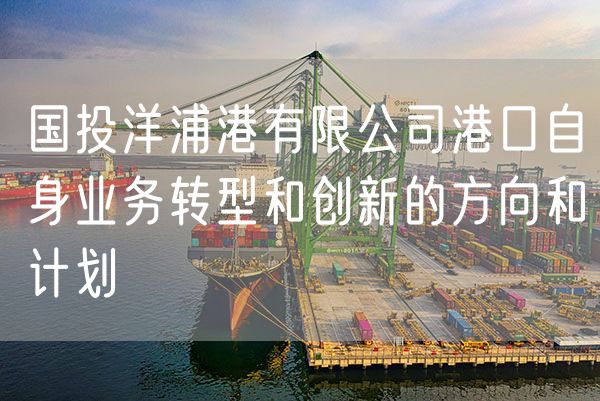 国投洋浦港有限公司港口自身业务转型和创新的方向和计划