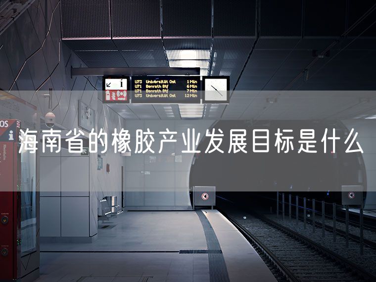 海南省的橡胶产业发展目标是什么