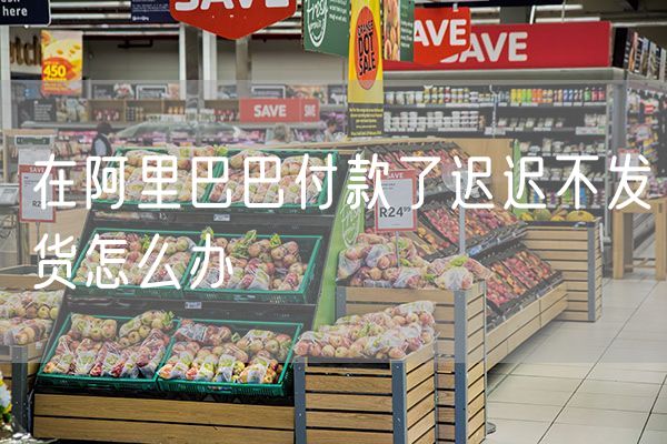 在阿里巴巴付款了迟迟不发货怎么办
