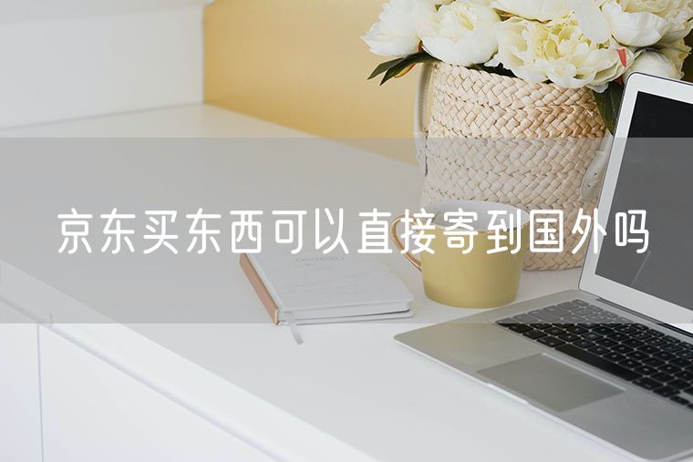 京东买东西可以直接寄到国外吗