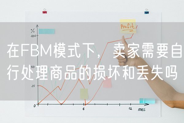 在FBM模式下，卖家需要自行处理商品的损坏和丢失吗