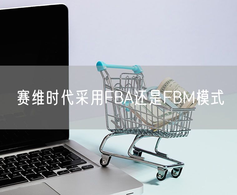 赛维时代采用FBA还是FBM模式