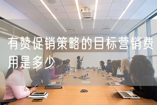 有赞促销策略的目标营销费用是多少