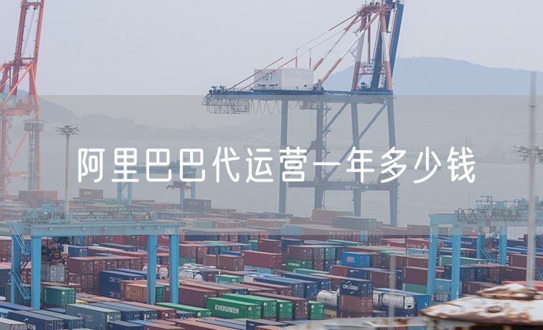 阿里巴巴代运营一年多少钱