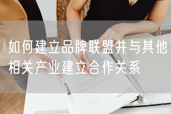 如何建立品牌联盟并与其他相关产业建立合作关系