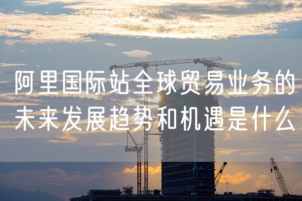 阿里国际站全球贸易业务的未来发展趋势和机遇是什么