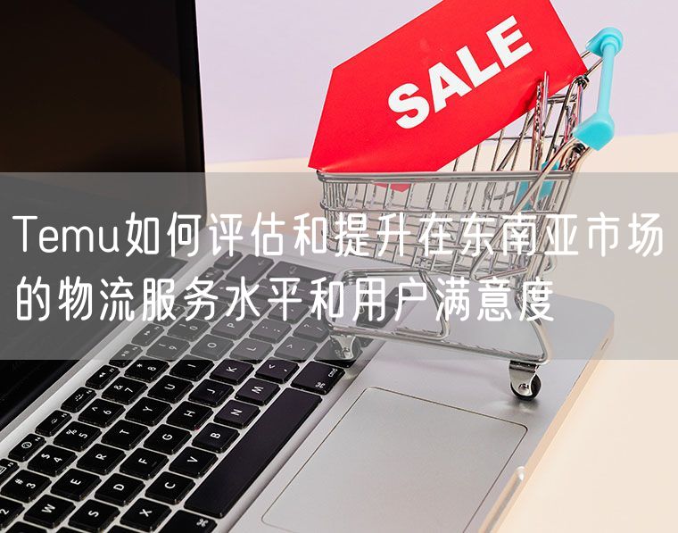 Temu如何评估和提升在东南亚市场的物流服务水平和用户满意度