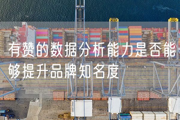 有赞的数据分析能力是否能够提升品牌知名度
