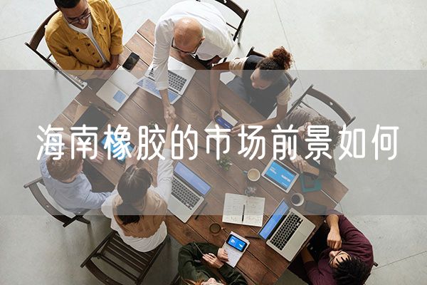 海南橡胶的市场前景如何