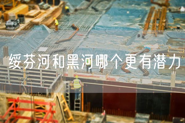 绥芬河和黑河哪个更有潜力