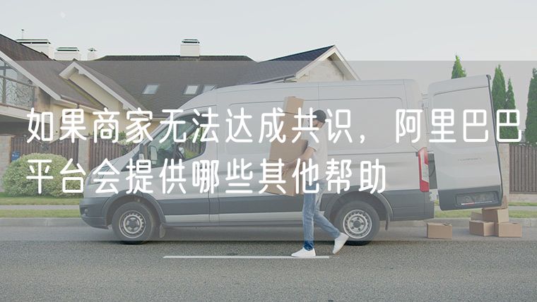 如果商家无法达成共识，阿里巴巴平台会提供哪些其他帮助