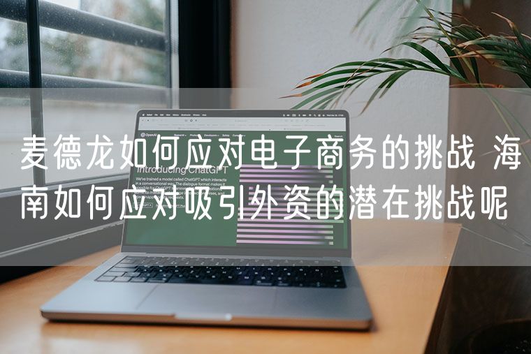 麦德龙如何应对电子商务的挑战 海南如何应对吸引外资的潜在挑战呢