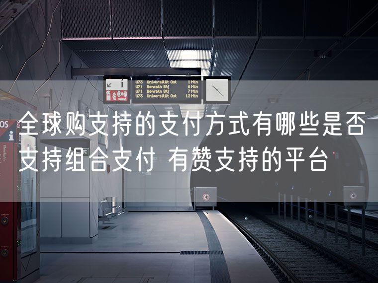 全球购支持的支付方式有哪些是否支持组合支付 有赞支持的平台