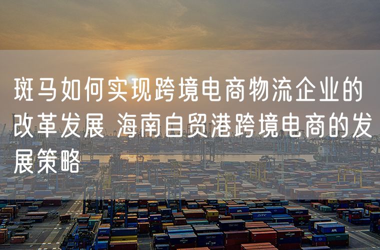 斑马如何实现跨境电商物流企业的改革发展 海南自贸港跨境电商的发展策略