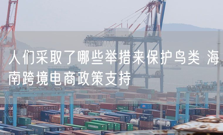 人们采取了哪些举措来保护鸟类 海南跨境电商政策支持