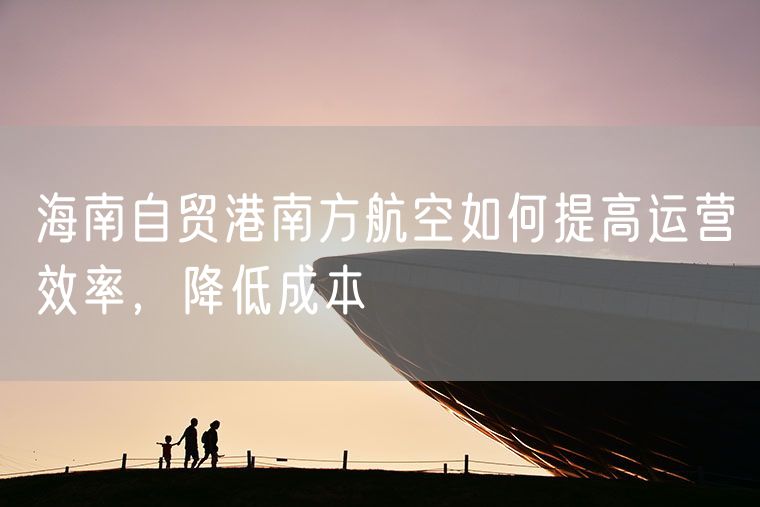 海南自贸港南方航空如何提高运营效率，降低成本