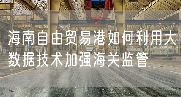 海南自由贸易港如何利用大数据技术加强海关监管