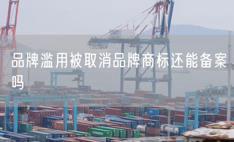 品牌滥用被取消品牌商标还能备案吗