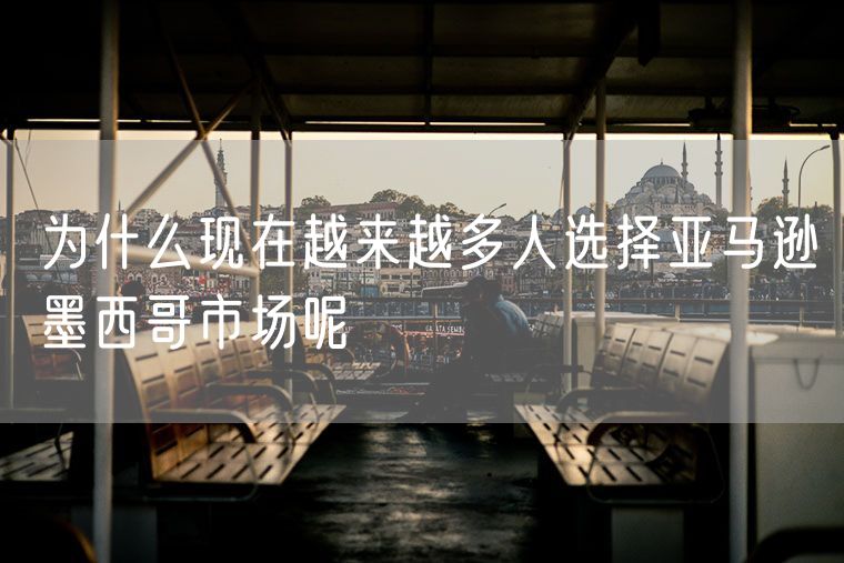 为什么现在越来越多人选择亚马逊墨西哥市场呢