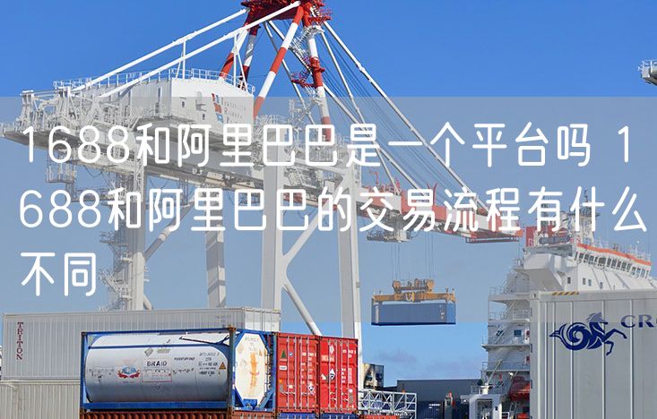 1688和阿里巴巴是一个平台吗 1688和阿里巴巴的交易流程有什么不同