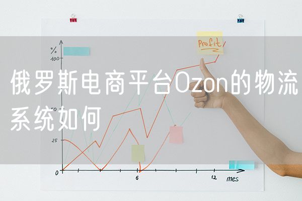 俄罗斯电商平台Ozon的物流系统如何