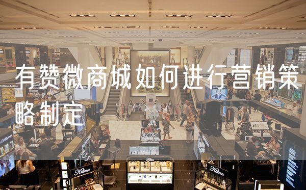 有赞微商城如何进行营销策略制定