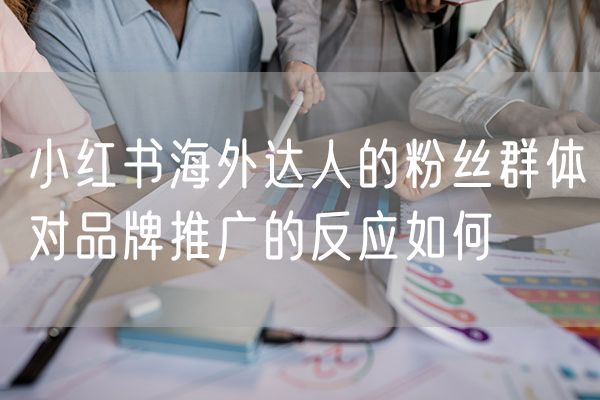 小红书海外达人的粉丝群体对品牌推广的反应如何