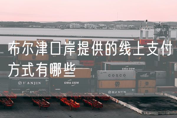 布尔津口岸提供的线上支付方式有哪些