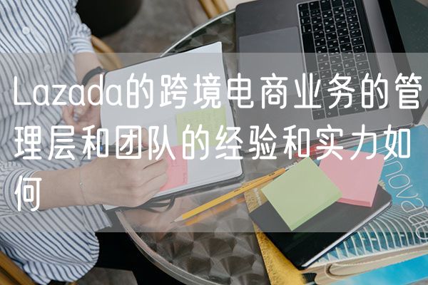 Lazada的跨境电商业务的管理层和团队的经验和实力如何