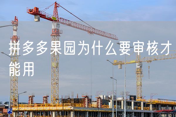 拼多多果园为什么要审核才能用