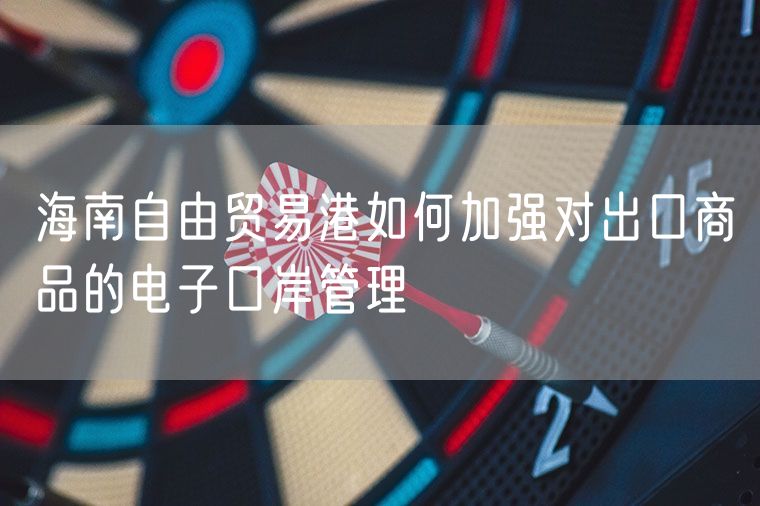 海南自由贸易港如何加强对出口商品的电子口岸管理