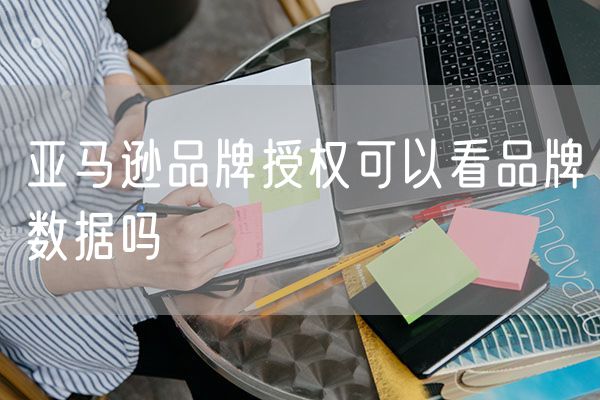 亚马逊品牌授权可以看品牌数据吗