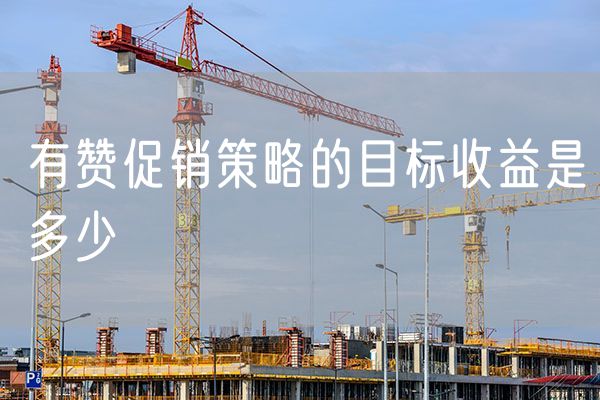 有赞促销策略的目标收益是多少