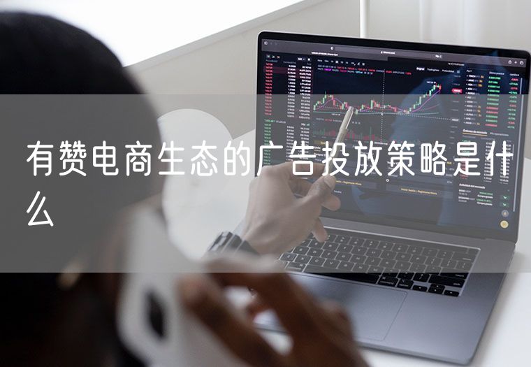 有赞电商生态的广告投放策略是什么