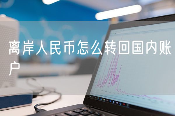 离岸人民币怎么转回国内账户