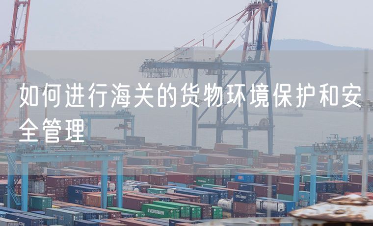 如何进行海关的货物环境保护和安全管理
