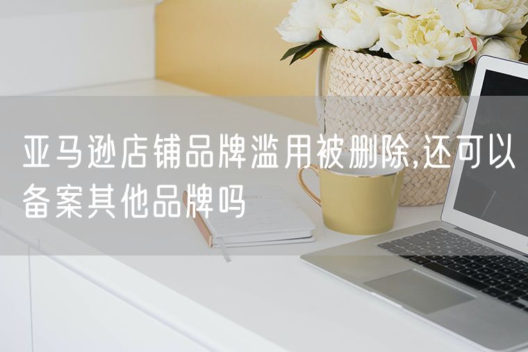 亚马逊店铺品牌滥用被删除,还可以备案其他品牌吗